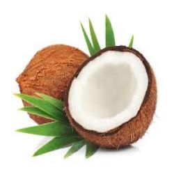 coconut 1pc Large