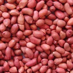 Raw Ground Nut peanuts 1Kg