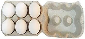 Nutritious Eggs Pack of 6